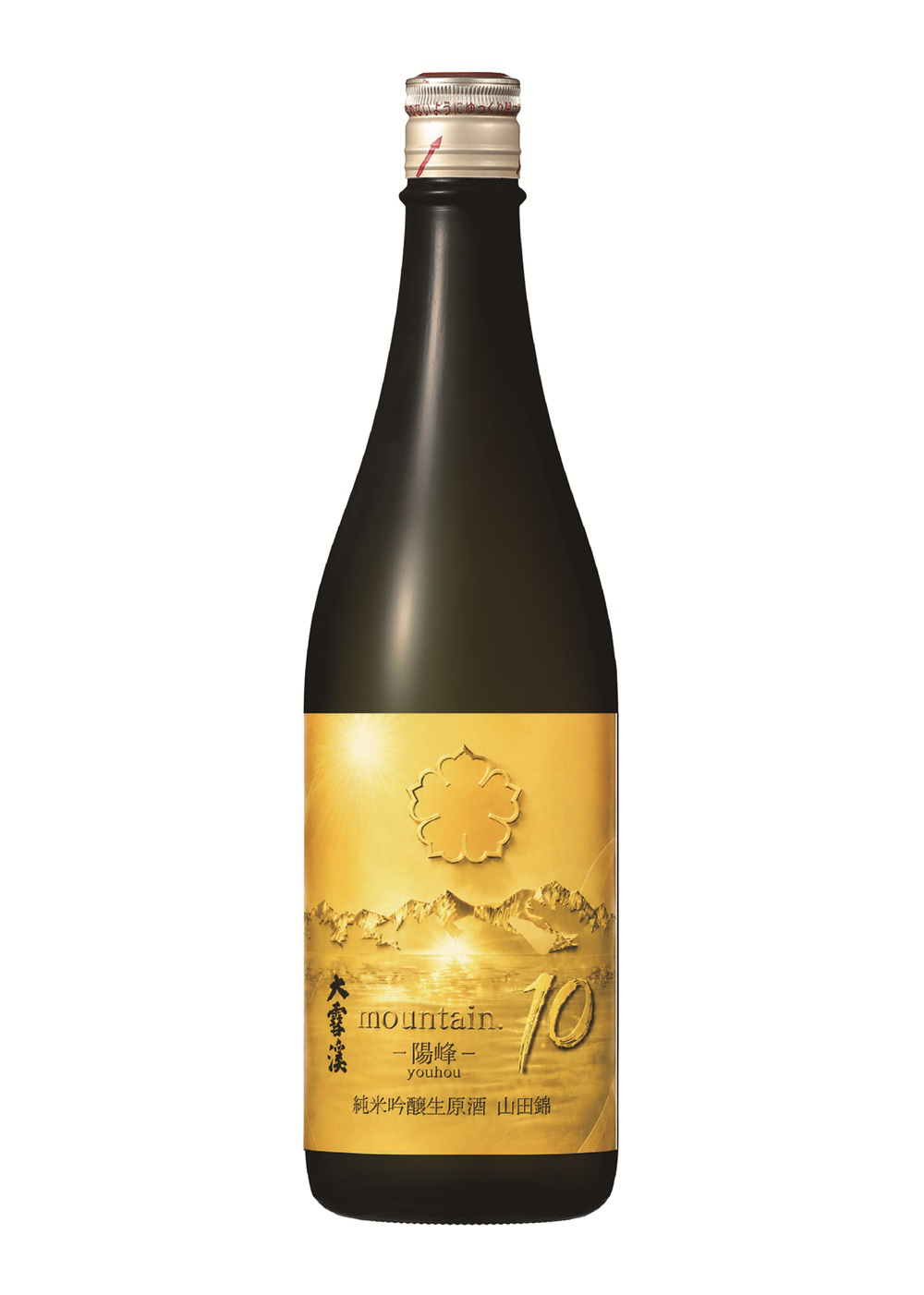 mountain.10 -�z��- ���ċ�������� �R�c�� 720ml