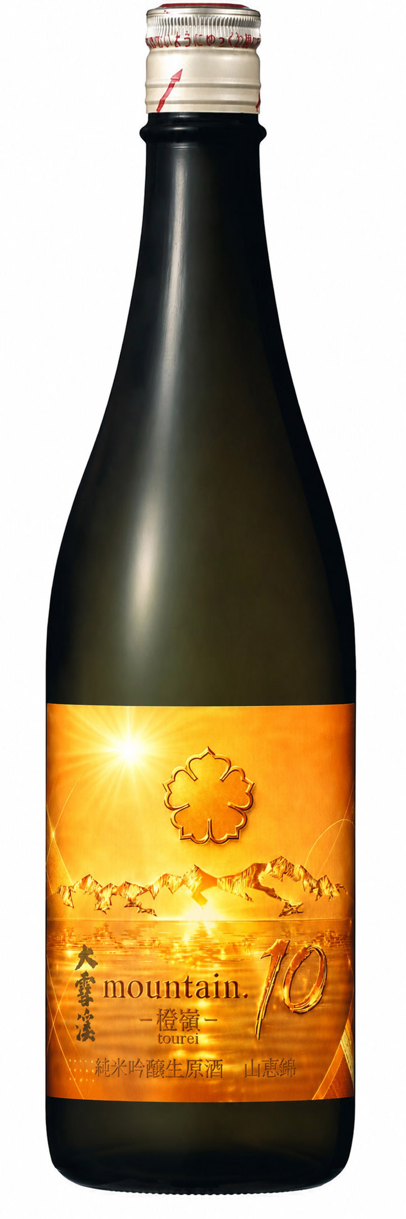 �{���J�G����mountain.10 -����- ���ċ�������� �R�b�� 720ml